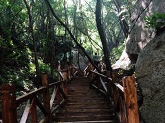 -大岭沟猕猴桃谷风景区