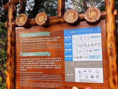 -华侨城湿地公园