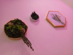 -soulfa柠檬茶(鹭江店)