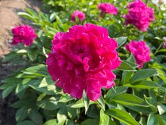 -国家植物园南园