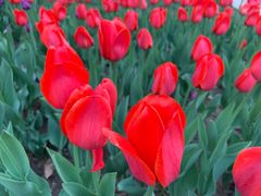 -长春公园(普阳街道)