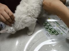 -瑞鹏宠物医院·骨外科·心肾科·肿瘤科(九亭店)
