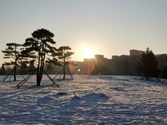 -东北大学(南湖校区)