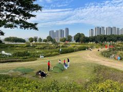 -光明小镇欢乐田园