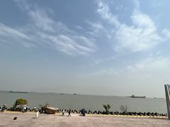 -上海滨江森林公园