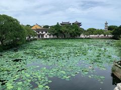 -国医整脊馆(武夷路店)