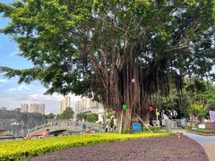 -石炮台公园
