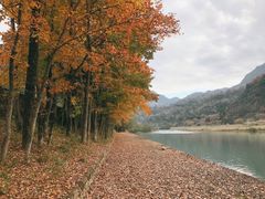 -楠溪江风景名胜区