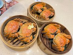 -点都德(华强南店)