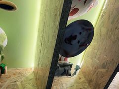 -Husky Go! 哈士奇体验馆·宠物咖啡厅狗咖