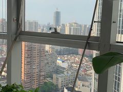 -新航道雅思托福·留学·考研培训(人民广场校区)