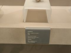 -西安大唐西市博物馆