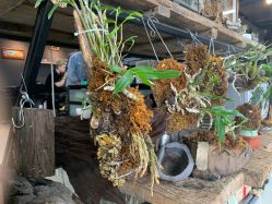 -周忆刺青原创设计定制