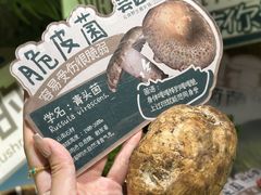 -芸山季·云南野生菌火锅(人民广场来福士店)