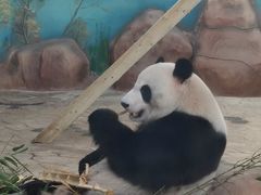 -南宁市动物园