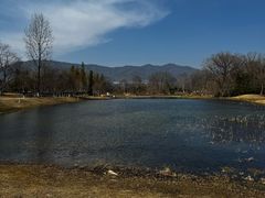 -雅达·阳羡溪山小镇中心