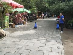 -大鹅岛绿色生态美食园
