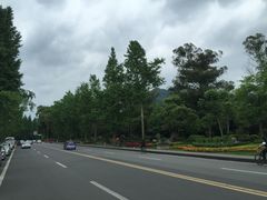 -青城山
