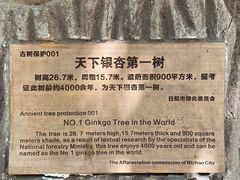 -浮来山风景区