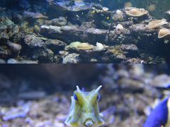 -北海·海洋之窗