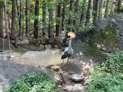 -昆明动物园
