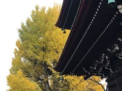 -医王山·飞騨国分寺