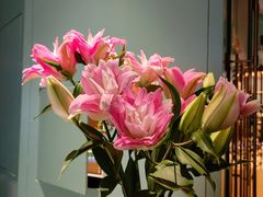 -南堂馆·新川菜(春熙路店)