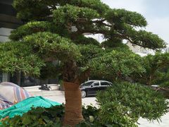 -长阳创谷