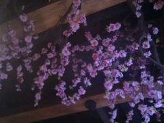 android_upload_pic-猪啊牛呀羊啊铜盘烤肉(正大广场店)