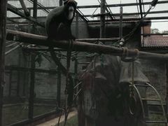 -石家庄市动物园