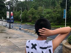 -美的鹭湖探索王国