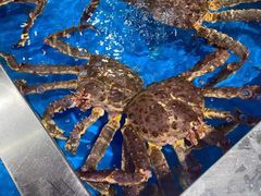 俄罗斯帝王蟹-盒马鲜生(大成店)