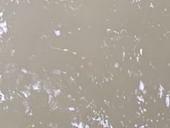 -海珠湖公园