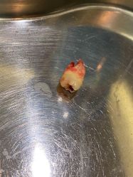 -厦门美莱整形美容医院