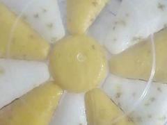 -来之顺海鲜菜馆·青岛菜·始于1993(栈桥店)