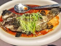 清蒸老虎斑-徐记海鲜(汉城湖|太奥店)