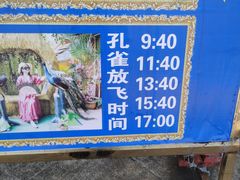 -西双版纳勐泐文化旅游区