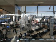 -达拉斯 沃斯堡国际机场