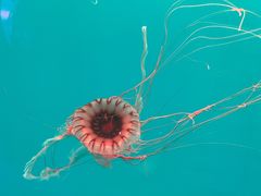 -多彩贵州城极地海洋世界