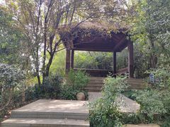-上海吴淞炮台湾国家湿地公园