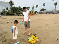 -碧海金沙