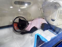 -美联众合动物医院(·中兽医·疑难杂症·严家桥分院)