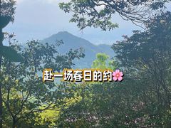 -梧桐山风景名胜区