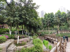-龙头寺公园