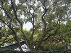 -上海醉白池公园