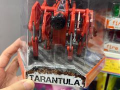 -TOYSRUS玩具反斗城(哈尔滨红博店)