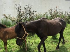 -临沂动植物园
