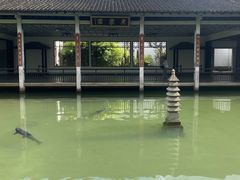 -杭州植物园