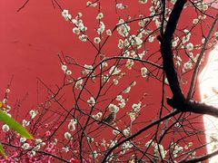 -钱王祠