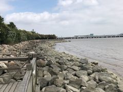-吴淞炮台湾湿地森林公园烧烤区